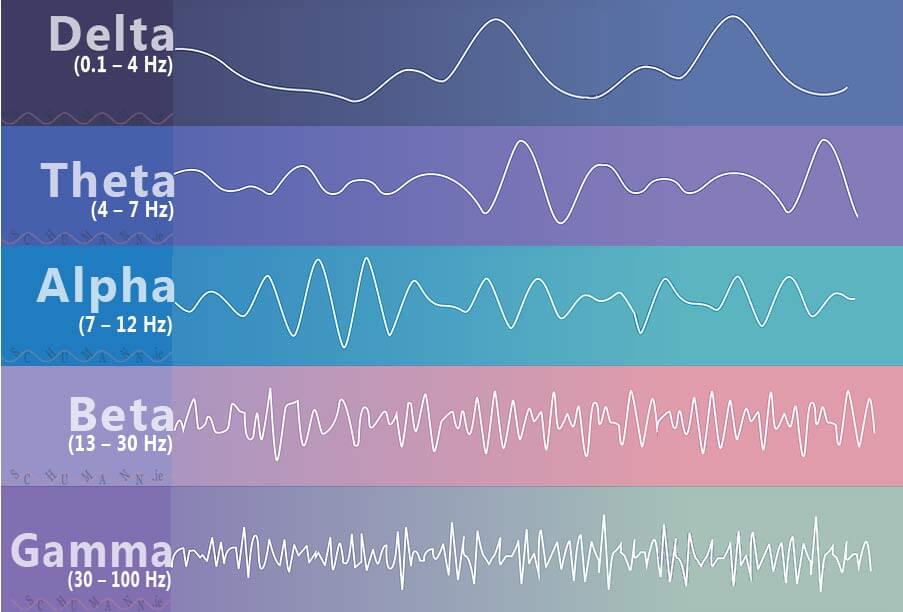 Unlocking the Power of Brainwave Frequencies: The Secret to Wealth, Learning, and Superconsciousness